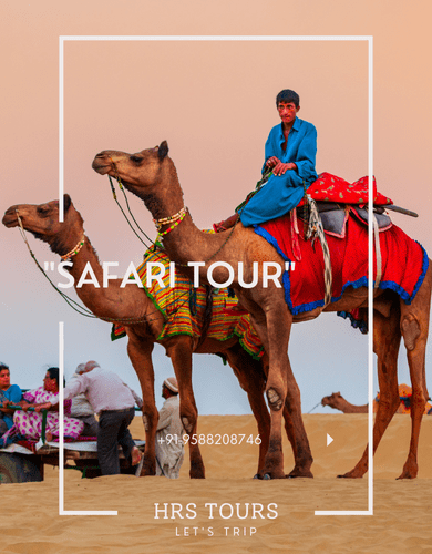 safari tour camel safari desert safariby hrs tours self drive car in jodhpur 9588208746-min