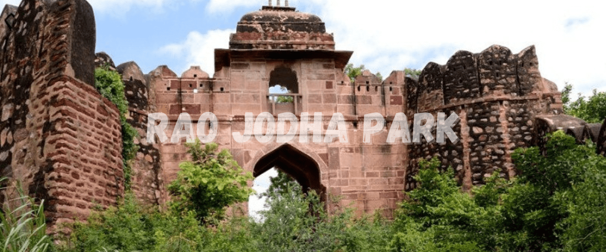 Rao Jodha Park​​ is the best place to visit in Jodhpur